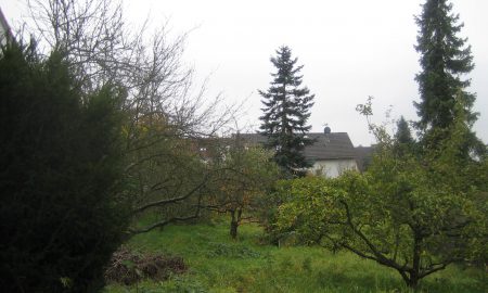 Wallau, Siedlungsstraße