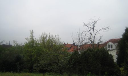 Wallau, Siedlungsstraße